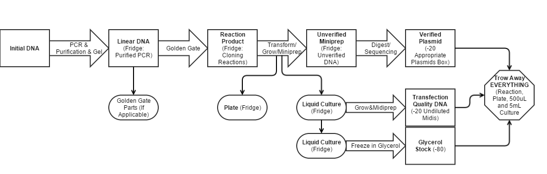 Cloning Workflow