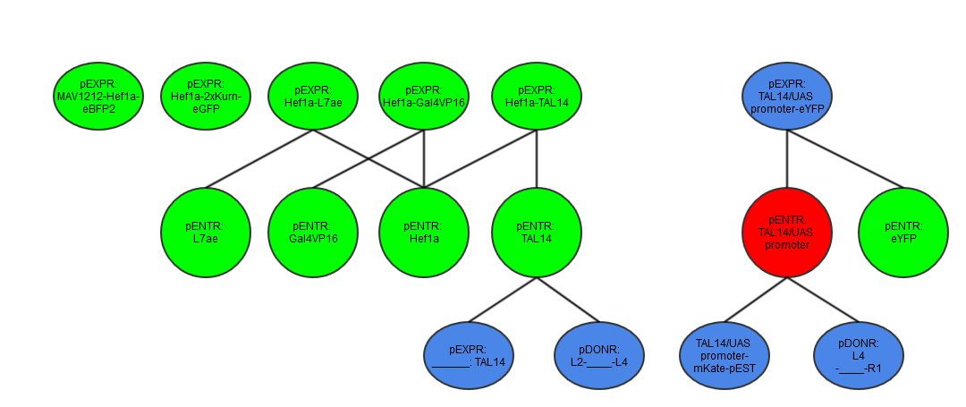 repressor testing