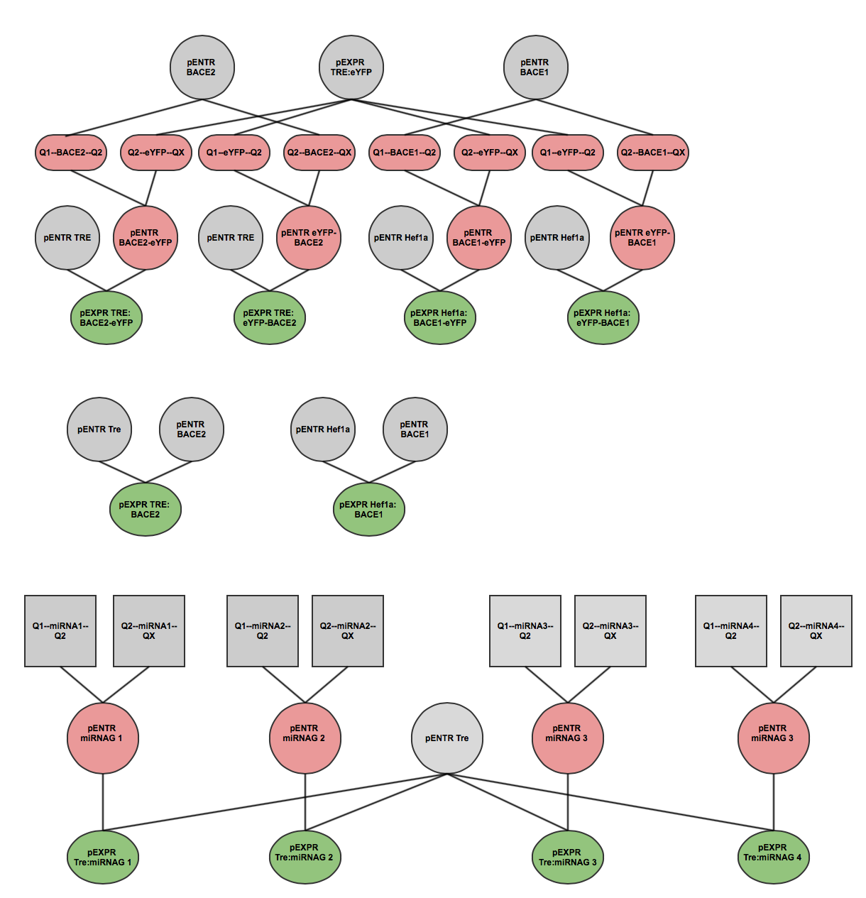 Treatment final parts tree